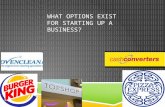 7   what options exist for starting up a business