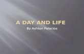A day and life -ashtonpalacios
