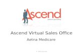 Aetna Ascend VSO Training Webinar 10.13.14