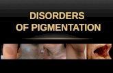 Disorders of Hyperpigmentation