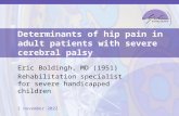 Determinants of hip pain eric boldingh oct 2014