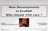 ExaBGP at LINX 83