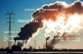 Industrial impacts and enviornment