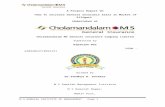 Summer Project - Copy of Cholamandalam g.i.c