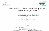 Reed bed water solutions lvk ppt