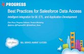 Best Practices for Salesforce Data Access