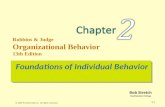 Robbins organization behaviour 13-chapter 2
