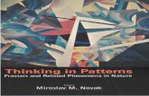 Novak M.M. Thinking in Patterns