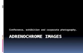 Adrenochrome Images