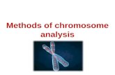 Human Chromosomes analysis Eng