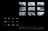 Batchen - Each Wild Idea