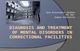 Diagnosis And Treatment Of Mental Disorders In Correctional Facilities