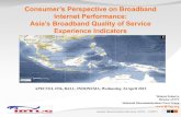 Consumer’s Perspective on Broadband Performance