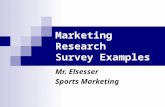 Marketing Research Survey Examples