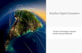 Brazilian growth bottlenecks and digital ecosystem