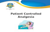 Patient Controlled Analgesia: Return to Nursing Program