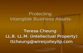 Protecting Intellectual Property And Trade Secrets (Oct29.08)