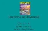 Dolphins at daybreak ch 1 4