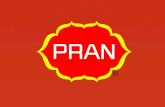Term Paper on Pran-RFL company