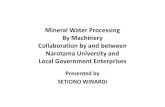 Mineral water processing
