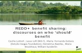 REDD+ benefit sharing: discourses on who ‘should’ benefit