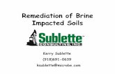 Soil Remediation - Brine 6-11