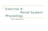 Exercise 9 - Renal System Physiology