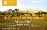 The transformative role of livestock in the developing world