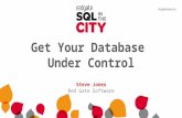 Get your Database under Source Control - SQL In The City