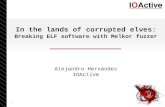 In the lands of corrupted elves - Breaking ELF software with Melkor fuzzer