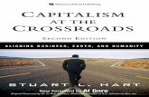 Capitalism at the Crossroads Aligning Business, Earth, And Humanity (2nd Edition)