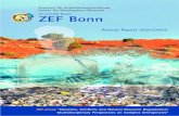 Disasters, Conflicts and Natural Resource Degradation-Zef_ar_2001_02