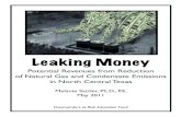 Leaking Money