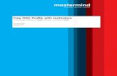 [DEMO-EN] Free DISC Profile With Motivators