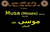 Story Of Musa 3