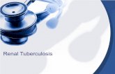 Renal Tuberculosis