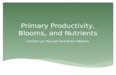 Primary Productivity, Blooms, And Nutrients