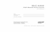 BC480 en Col62 FV Part A4[1] - PDF Based Print Forms