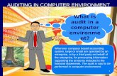Auditing in Computer Environment Sako