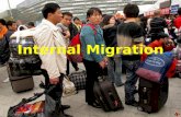 Internal migration   lesson 4