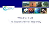 Wood for Fuel - The Opportunity for Tipperary