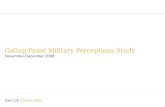 Gallup Military Perceptions 2008