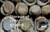 Storage of crop grains