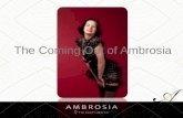 Coming out of ambrosia   lifestyle business event autumn