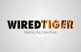 WiredTiger Overview