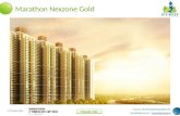 Marathon nexzone gold (1)