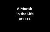 ELEF slideshow
