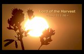 Sermon Slide Deck: "The Lord Of The Harvest" (Luke 10:1-16)