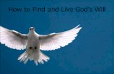How to Find and Live God's Will