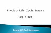 Product Life Cycle Stages Explained
